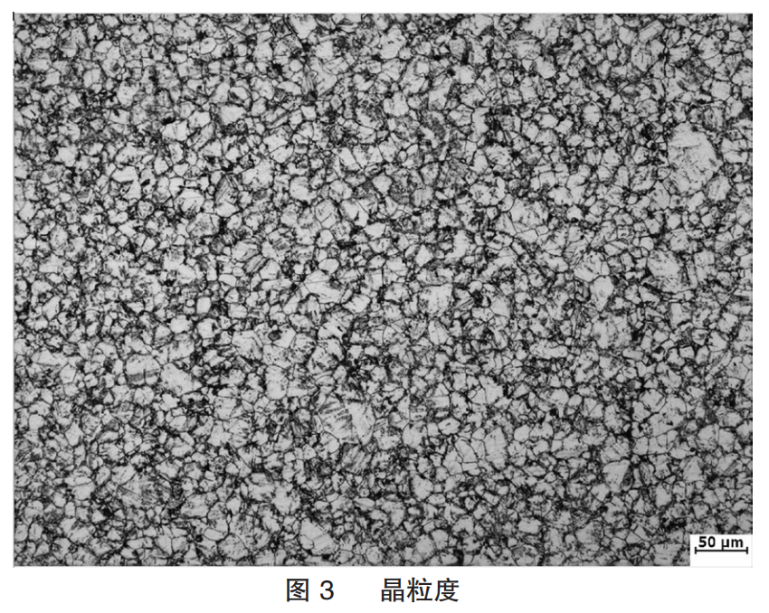 1653878554198319.png 3db3296442ede4cdac235e5eadd9c5a3.png