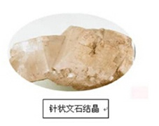 圖片8.png
